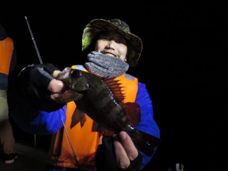 Chase(チェイス) 釣果