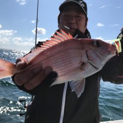 ランスルー 釣果