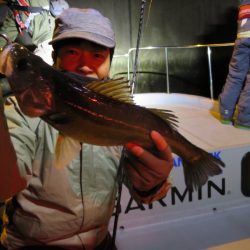 Chase(チェイス) 釣果