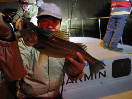 Chase(チェイス) 釣果