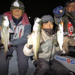 Chase(チェイス) 釣果