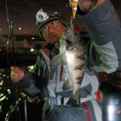 Chase(チェイス) 釣果