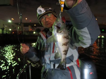 Chase(チェイス) 釣果