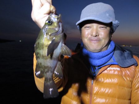 Chase(チェイス) 釣果