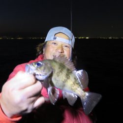 Chase(チェイス) 釣果