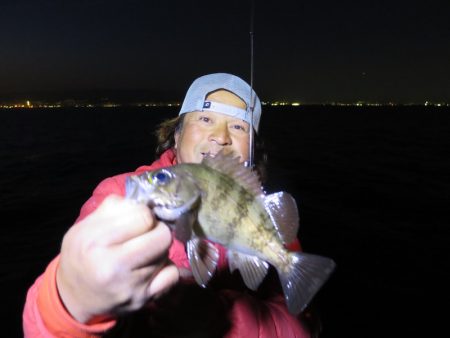 Chase(チェイス) 釣果