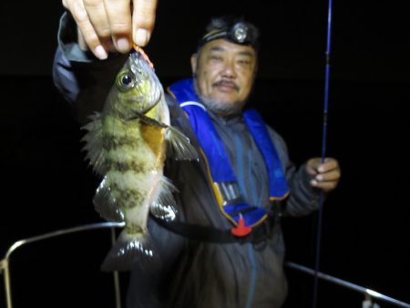 Chase(チェイス) 釣果