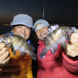 Chase(チェイス) 釣果