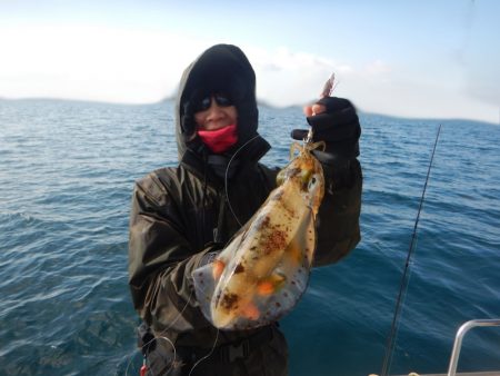 きずなまりん 釣果