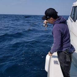 アマテラス 釣果