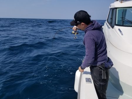 アマテラス 釣果