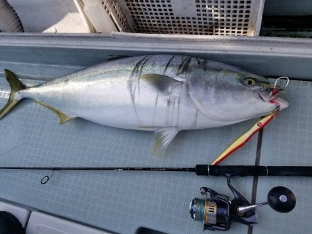 アマテラス 釣果