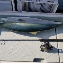 アマテラス 釣果