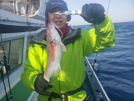 丸万釣船 釣果