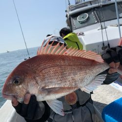 ランスルー 釣果