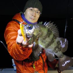 Chase(チェイス) 釣果