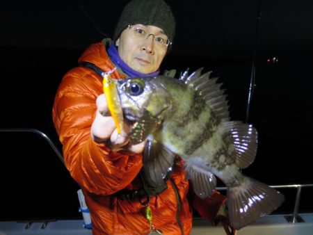 Chase(チェイス) 釣果