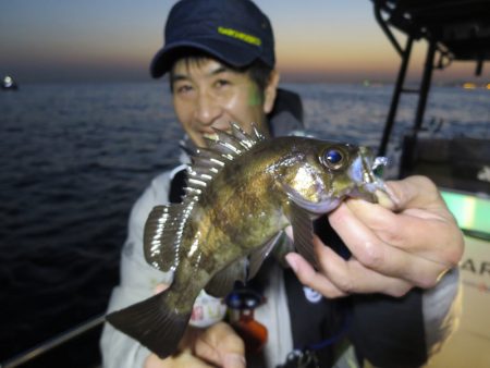 Chase(チェイス) 釣果