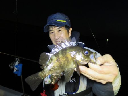 Chase(チェイス) 釣果