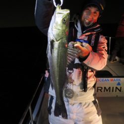 Chase(チェイス) 釣果