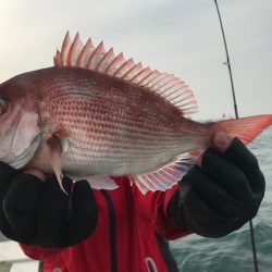 ランスルー 釣果