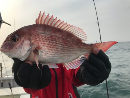 ランスルー 釣果