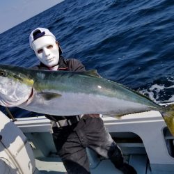 アマテラス 釣果