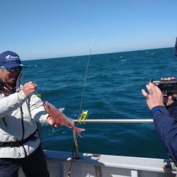 ありもと丸 釣果