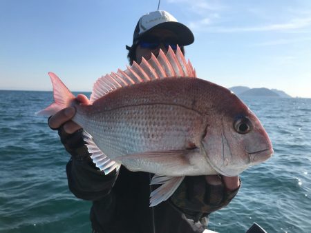 ランスルー 釣果