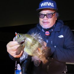 Chase(チェイス) 釣果