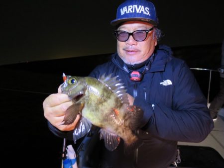 Chase（チェイス） 釣果