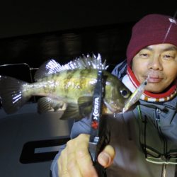 Chase(チェイス) 釣果