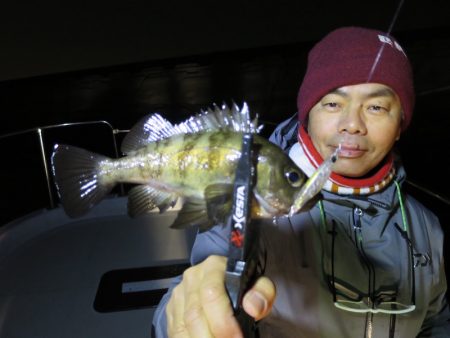 Chase(チェイス) 釣果