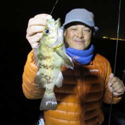 Chase(チェイス) 釣果