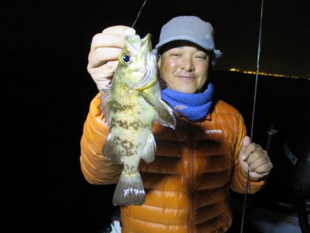 Chase(チェイス) 釣果