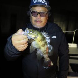 Chase(チェイス) 釣果