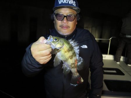 Chase(チェイス) 釣果