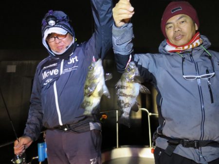 Chase(チェイス) 釣果