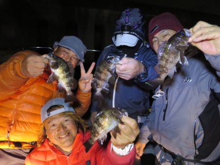 Chase(チェイス) 釣果