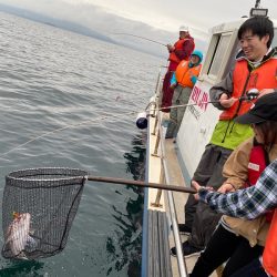 龍神丸（鹿児島） 釣果