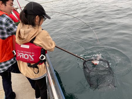 龍神丸（鹿児島） 釣果