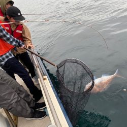 龍神丸（鹿児島） 釣果