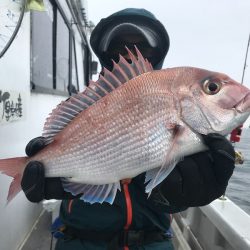 ランスルー 釣果