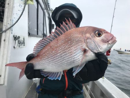 ランスルー 釣果