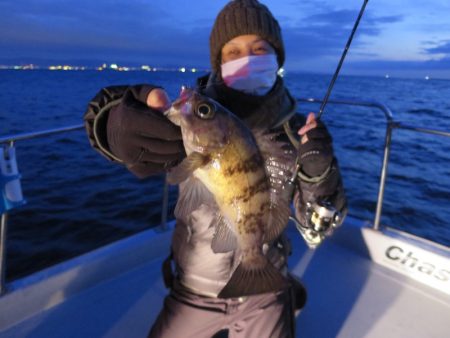 Chase(チェイス) 釣果