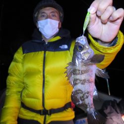 Chase(チェイス) 釣果