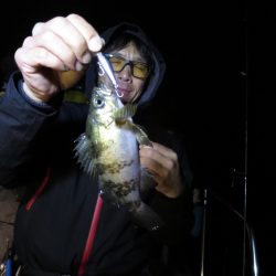 Chase(チェイス) 釣果