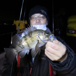 Chase(チェイス) 釣果