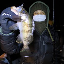 Chase(チェイス) 釣果