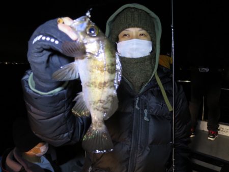 Chase(チェイス) 釣果